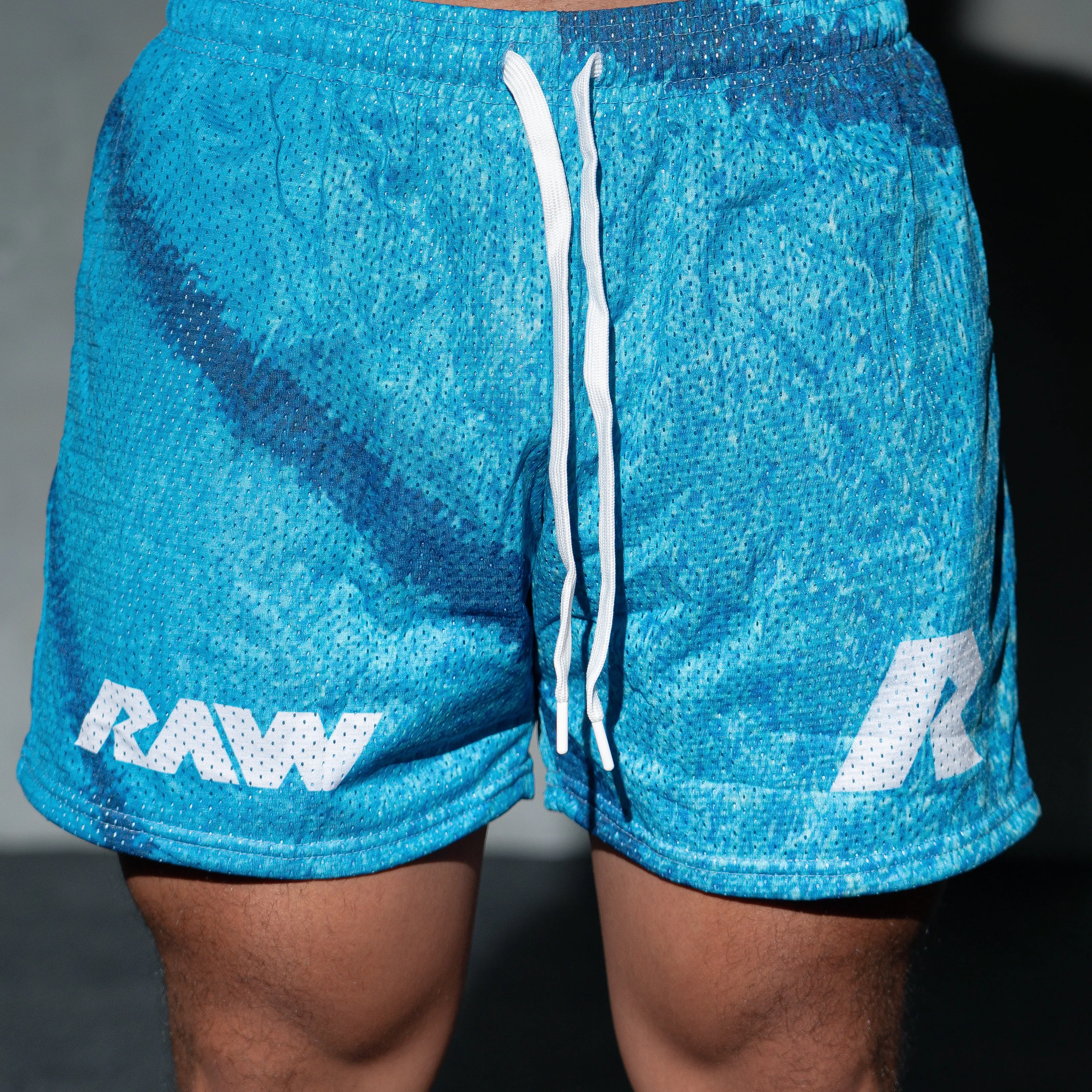 5in Mesh Shorts