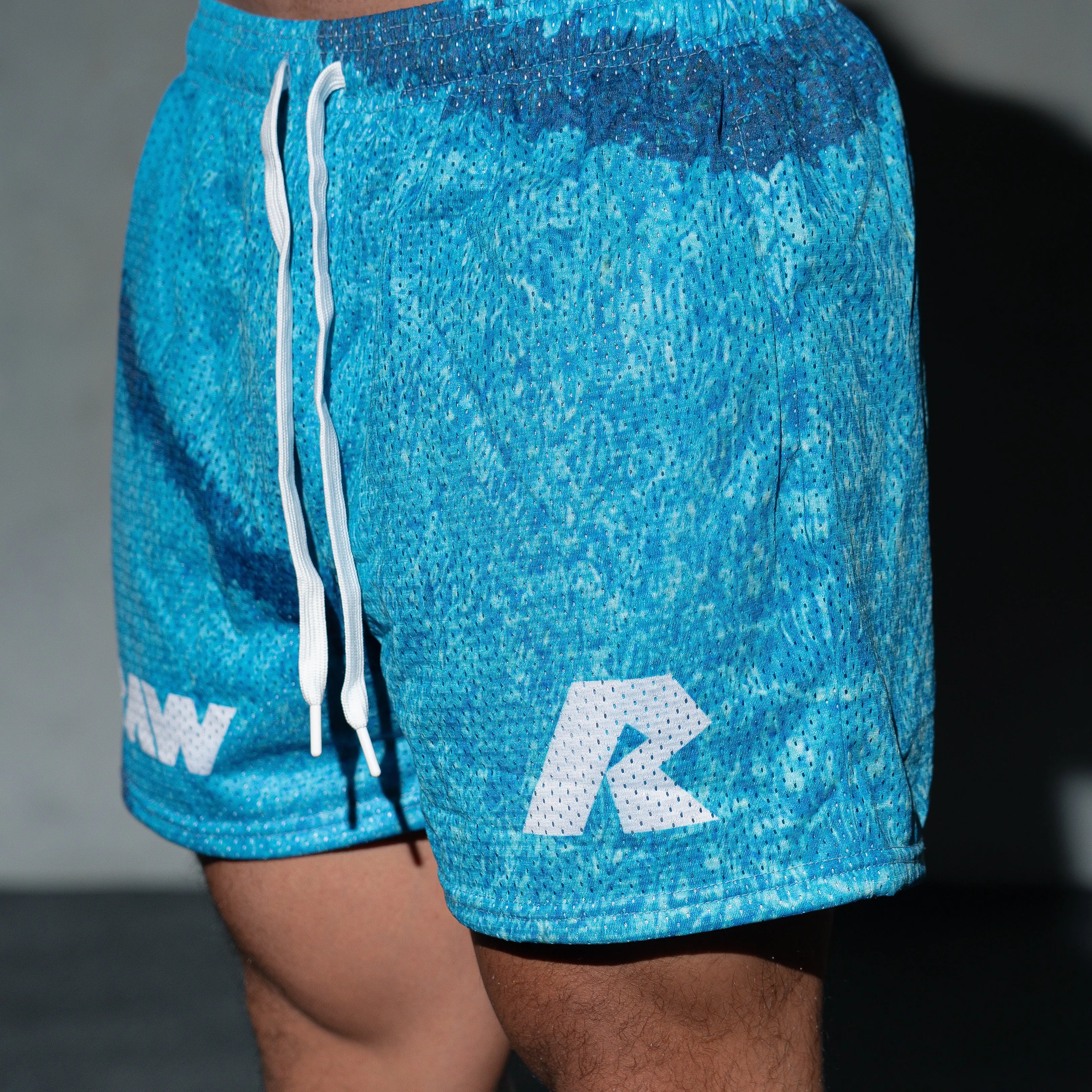 5in Mesh Shorts