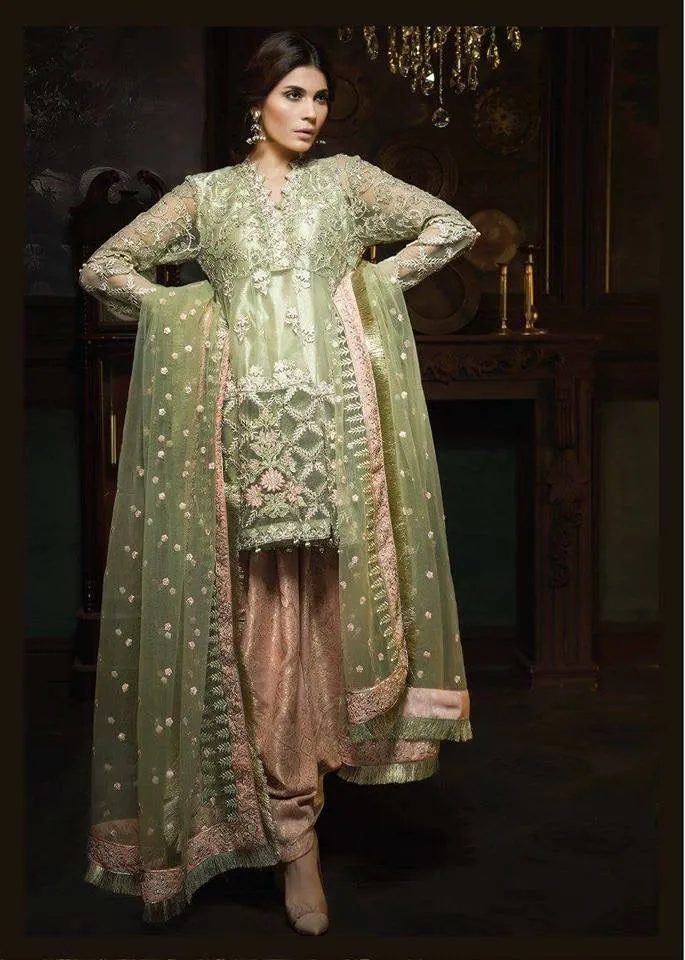 Beautiful dress in chiffon by Ayra in light pistachio green and pink color Model # C 1131