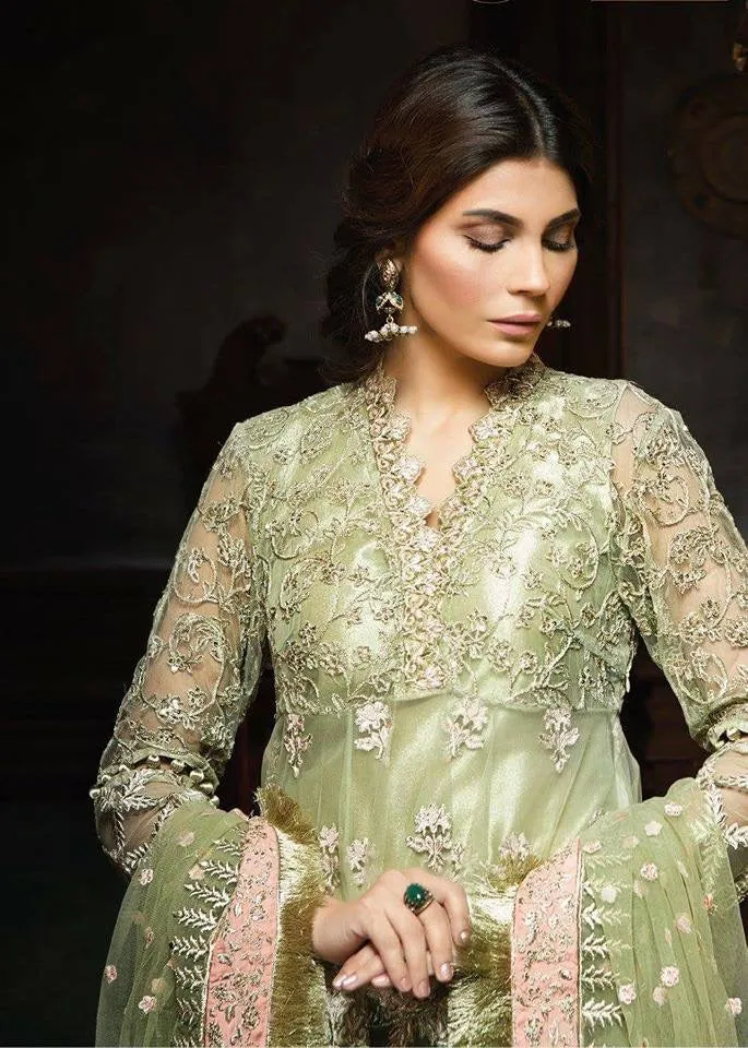 Beautiful dress in chiffon by Ayra in light pistachio green and pink color Model # C 1131