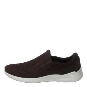 Ecco Irving Mocha