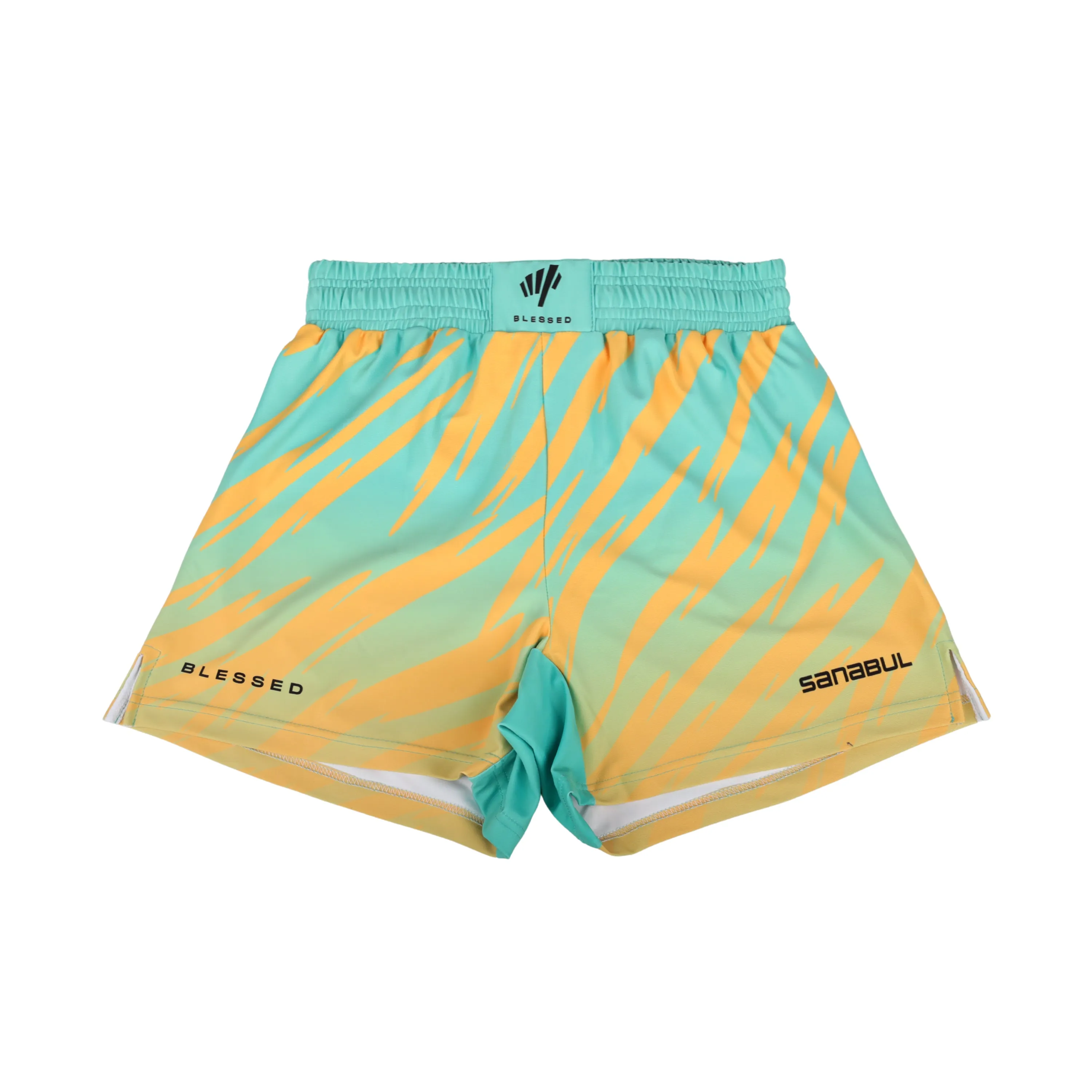Max Holloway Thunder Strike Kit